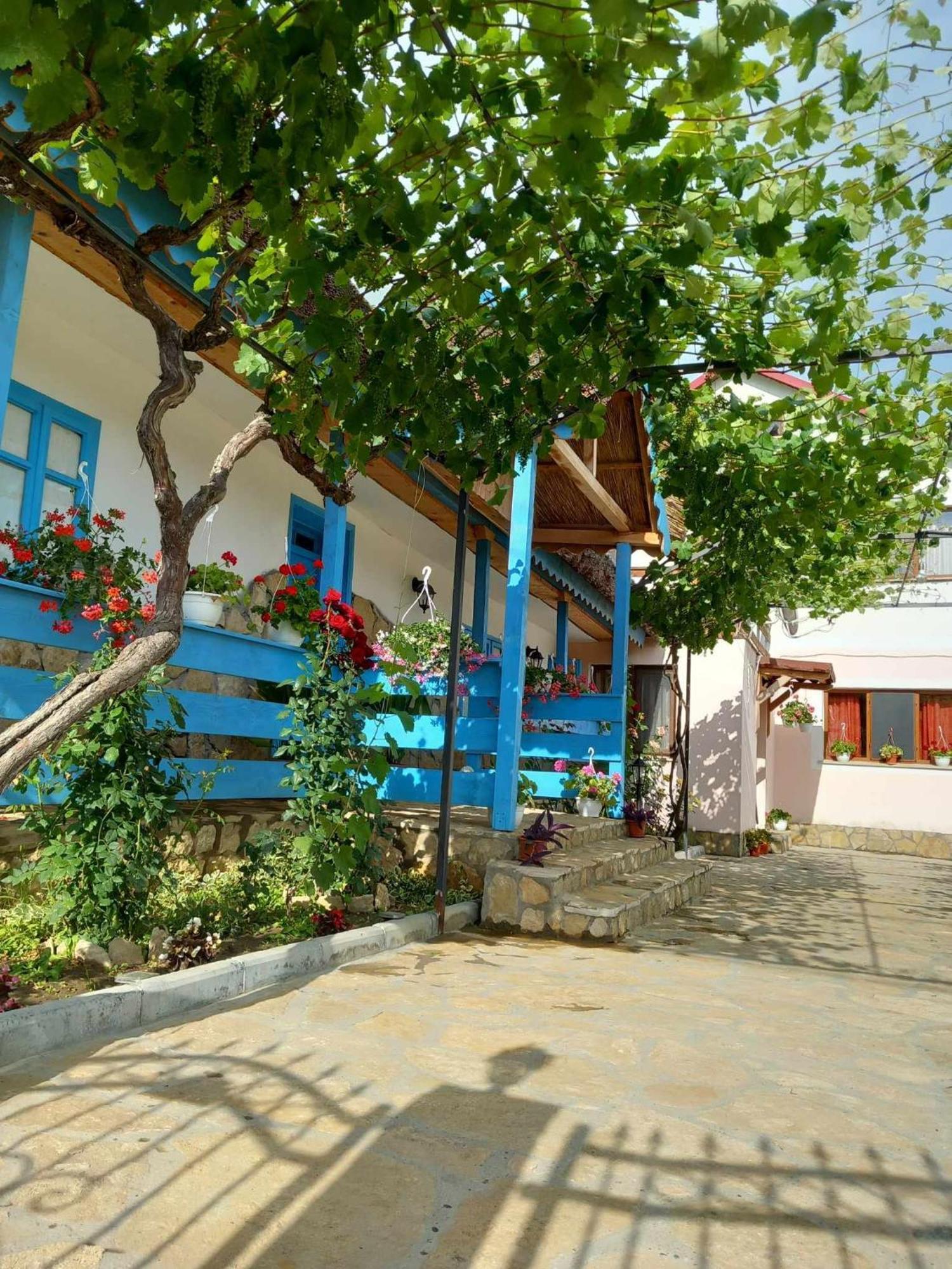 Casa Rasaritul Soarelui Sarichioi Hotel Exterior photo
